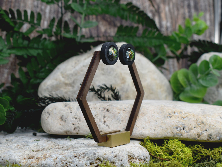 Wood Stud Earrings With Resin Chameleon Cabochon #229