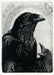 2. ravenmadonna