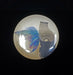 northstar button