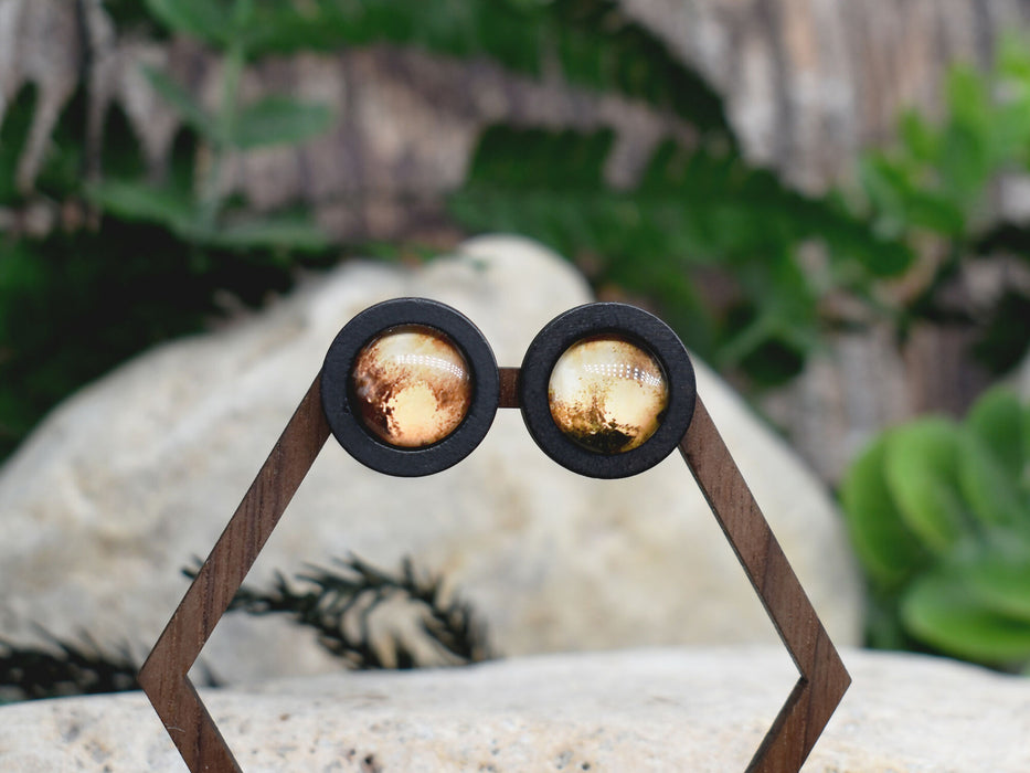 Wood Stud Earrings With Glass Pluto Cabochon #170