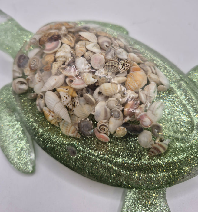 Shell Turtle