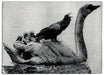 CROW AND SWAN