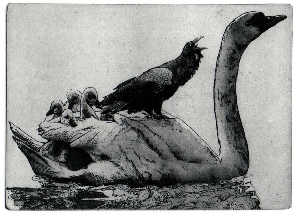 CROW AND SWAN
