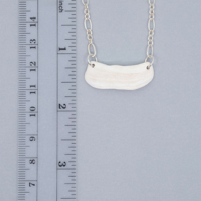 Seashell Necklace