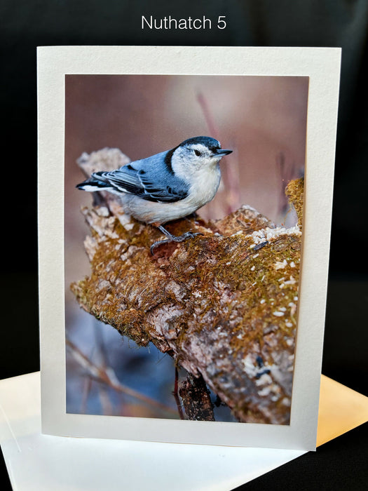 Nuthatch Notecard 5 SM