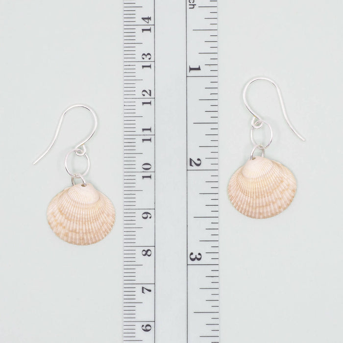 Cockle Seashell Earrings