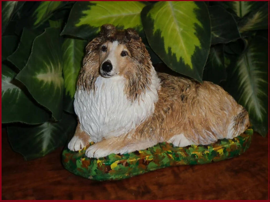 sheltie