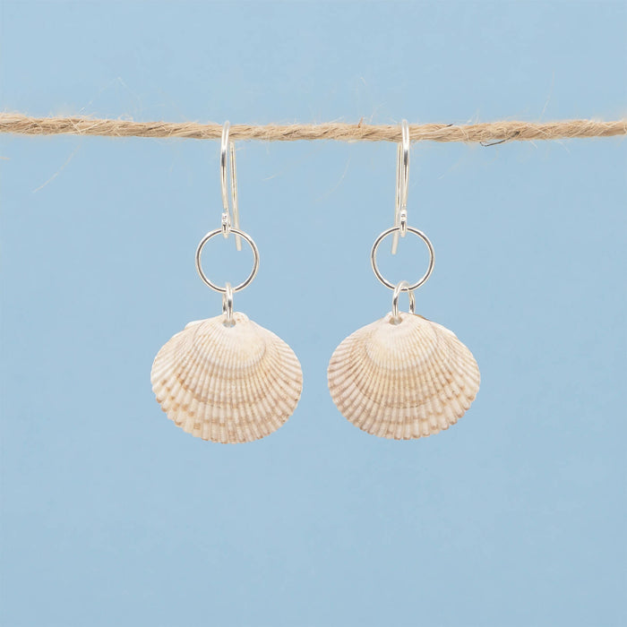 Cockle Seashell Earrings