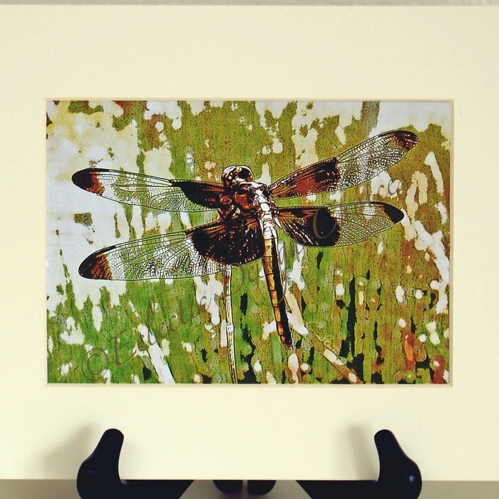 brwn n gld drgnfly 5x7 ivry mt wm sq