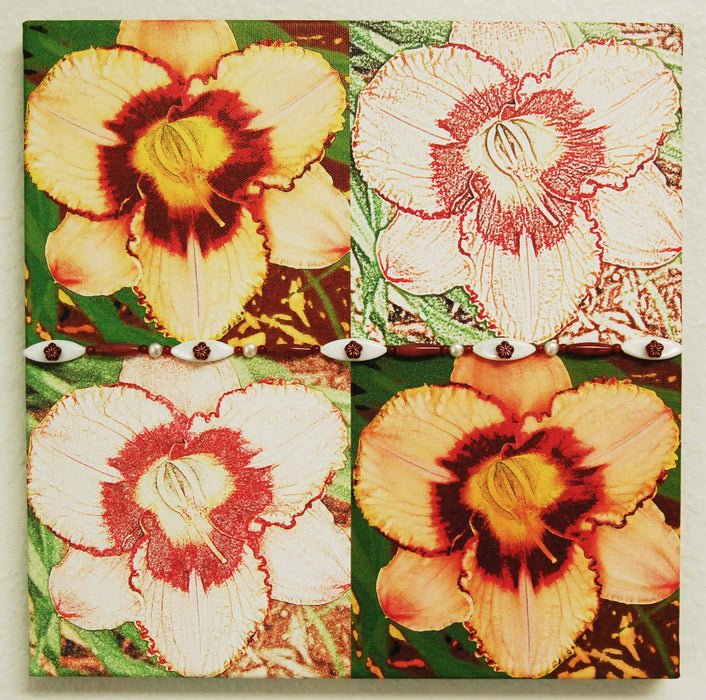 daylily 4 sq2