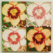 daylily 4 sq2