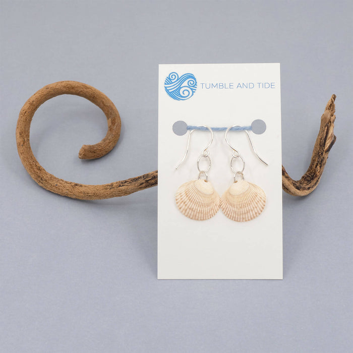 Cockle Seashell Earrings