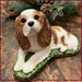 kingcharles6