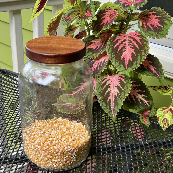 Large Wooden Screw-top Jar Lid with 110-400 threading.