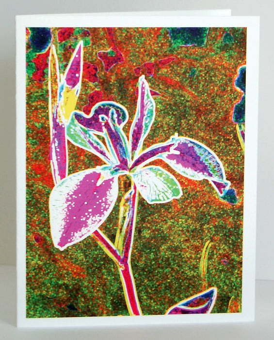 vinicolor pop art