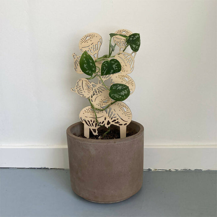 Puffball Mushroom - Plant Trellis