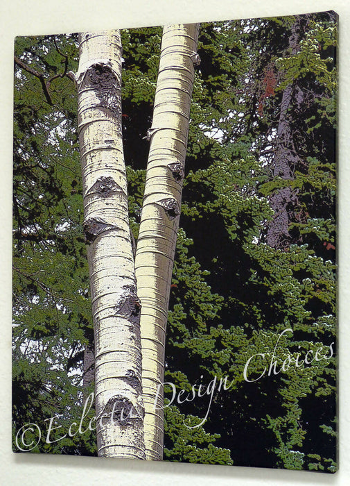 aspen trunks on grn wm