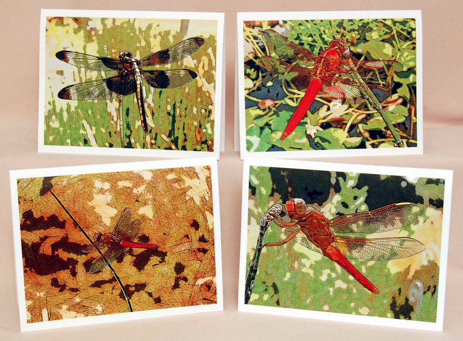 4 drgnflies