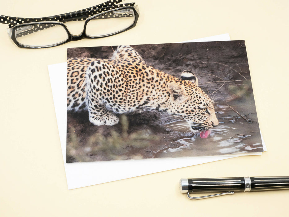 Leopard Photography Greeting Card
