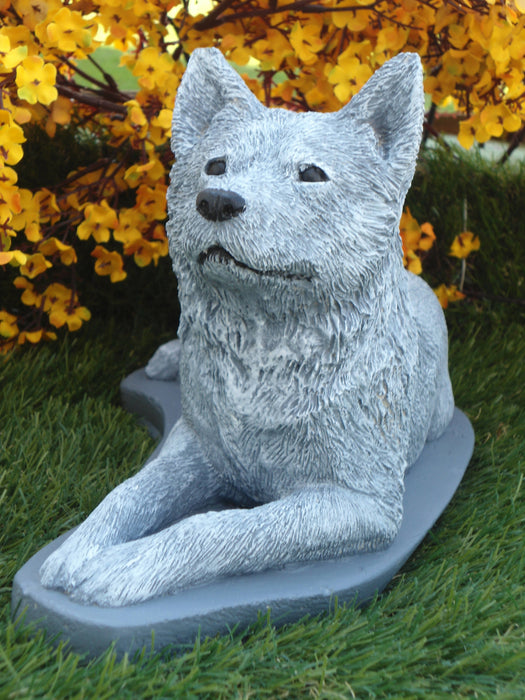 Blue tick Heeler do Concrete High 11.5 x 5.5 x 7"
