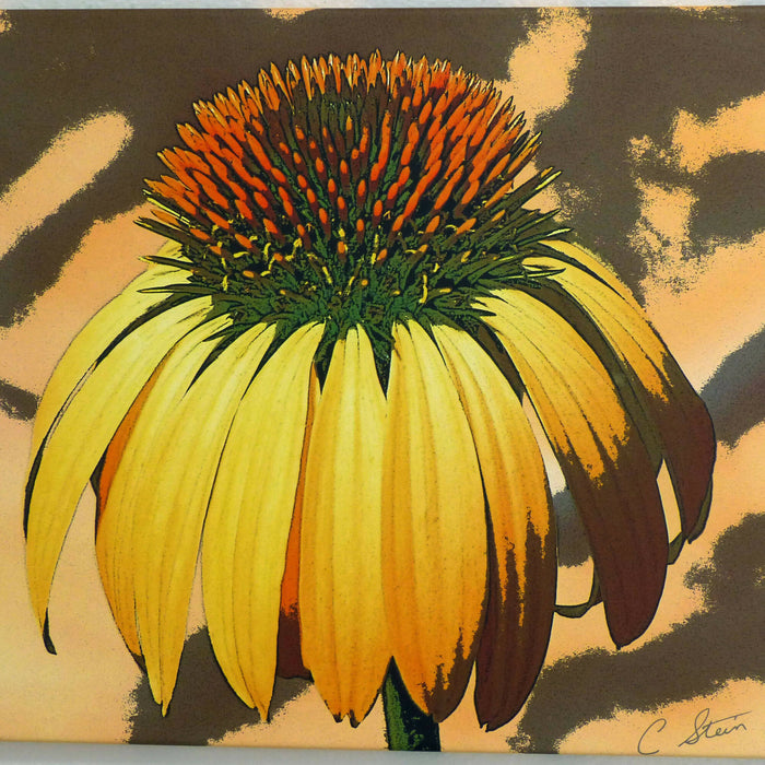 Coneflower Yellow - Recurved sq