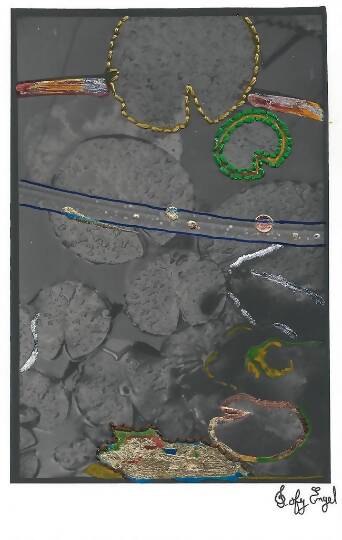 Nénuphars brodés avec dorures sur photographie argentique - Embroidered water lilies with gilding on silver photograph