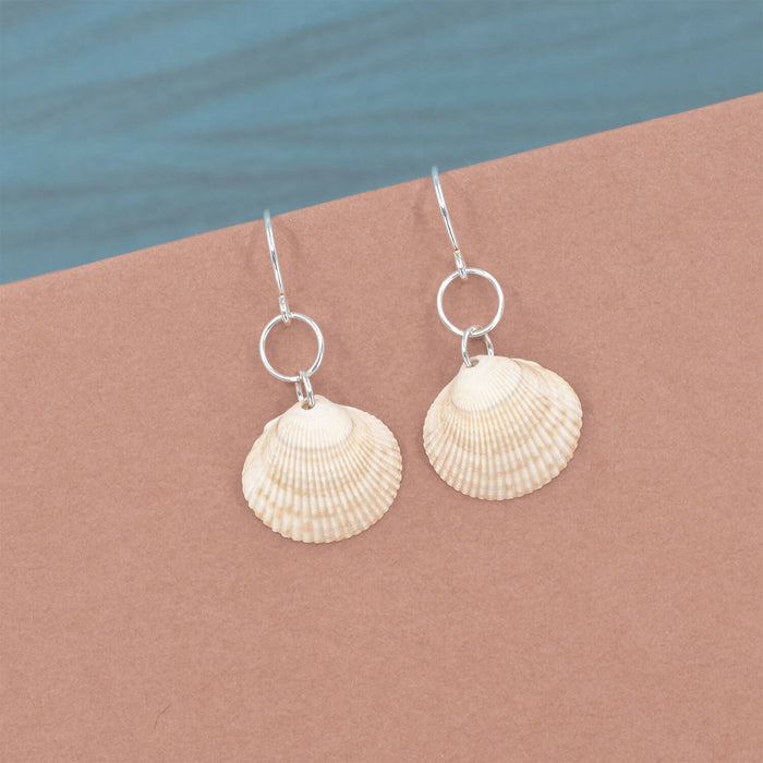 Cockle Seashell Earrings