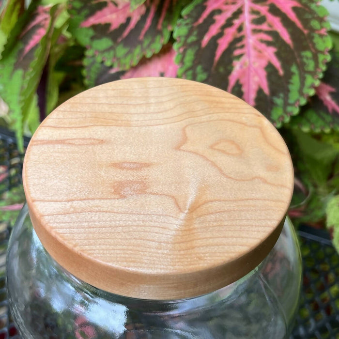 Large Wooden Screw-top Jar Lid with 110-400 threading.