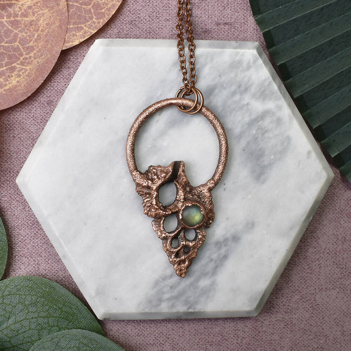 Center Cut Maple Leaf Shell With Labradorite