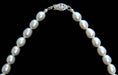 pearl safety claspb