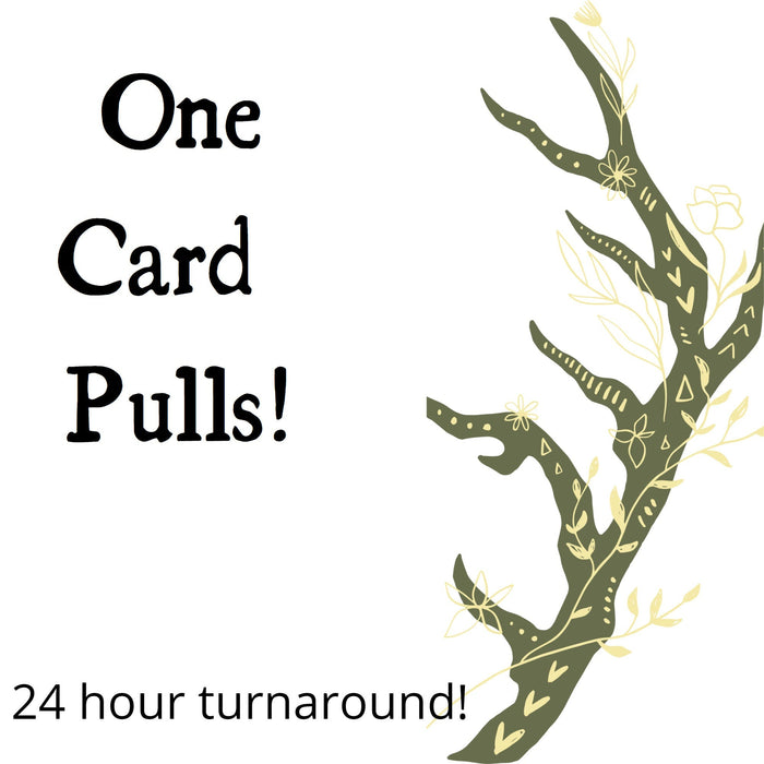 One Card Tarot Pulls!