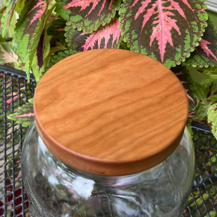 Large Wooden Screw-top Jar Lid with 110-400 threading.