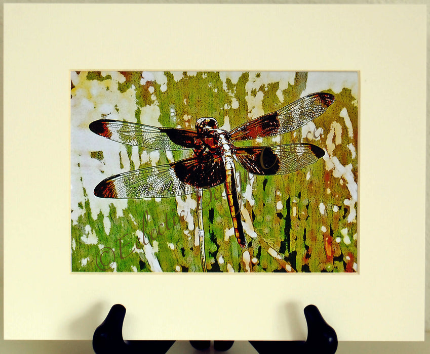 brwn n gld drgnfly 5x7 ivry mt wm