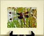 brwn n gld drgnfly 5x7 ivry mt wm