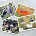 all four sq