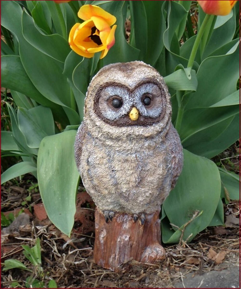 Garden & Outdoors