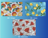 Fruits #23 to #25