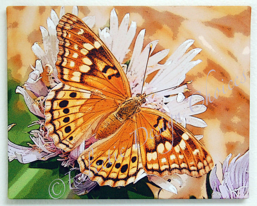 tawny emperor wm