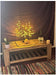 COFFEE TABLE (6)