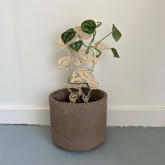 Dokusasako Mushroom - Plant Trellis