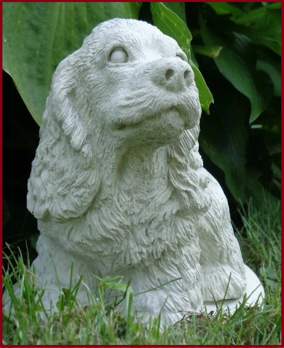 cocker2