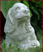 cocker2
