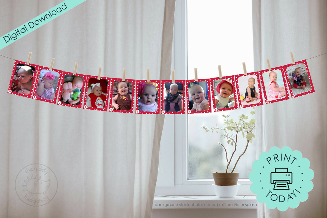 4x6PhotoBannerMockup-01