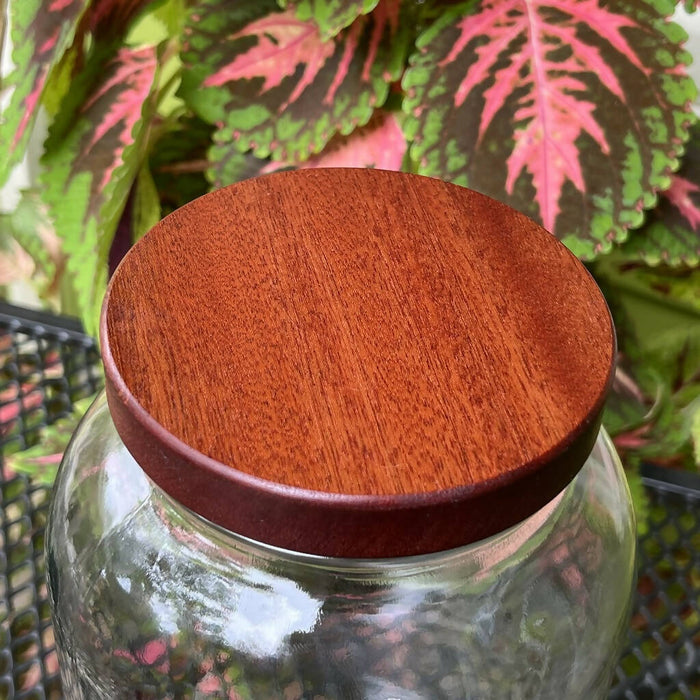 Large Wooden Screw-top Jar Lid with 110-400 threading.